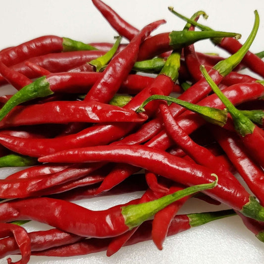Dried Chile De Arbol pepper from MIgardener, vibrant red chili pepper with a slender, elongated shape and pointed tip.