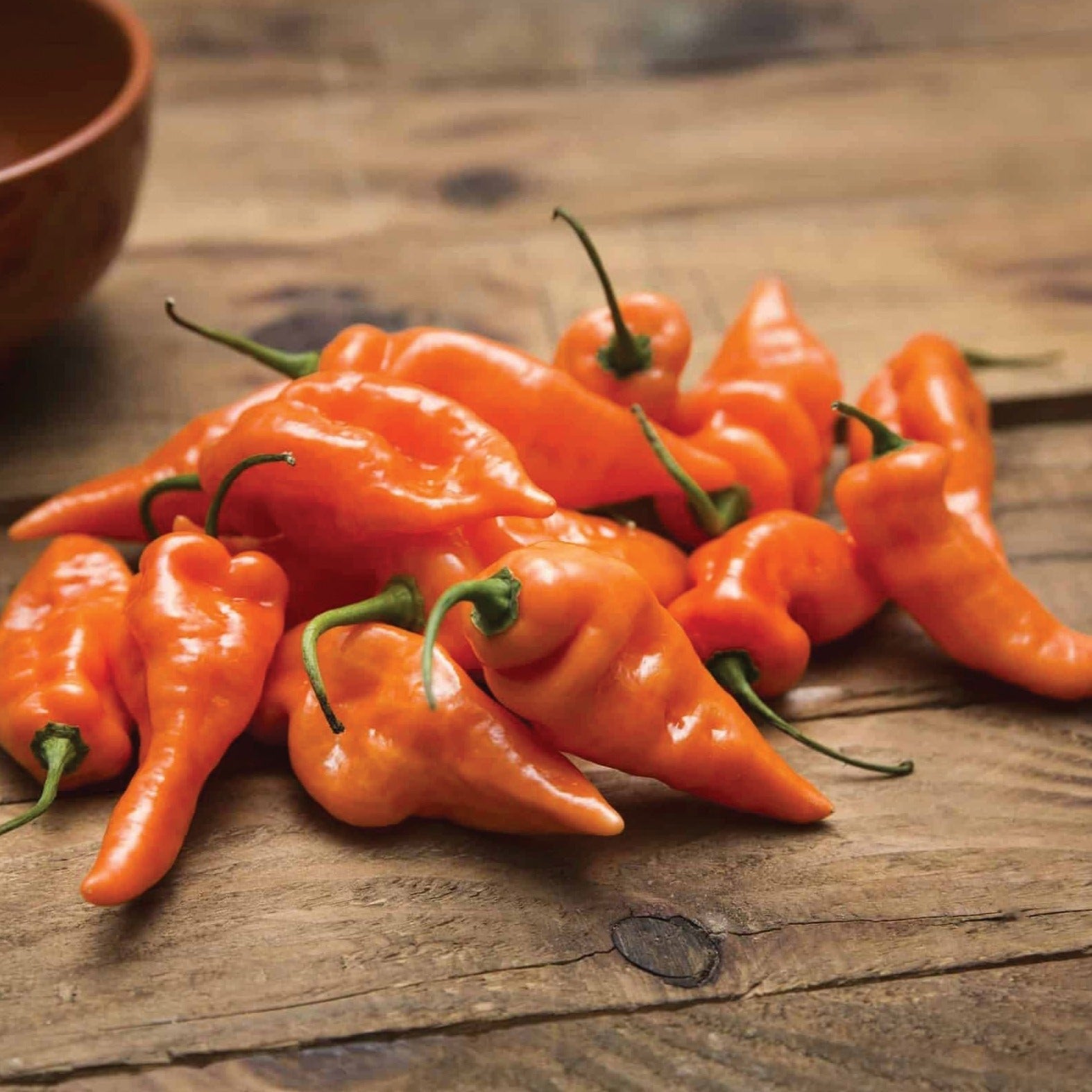 Fresh Habanada pepper from MIgardener, showing vibrant orange color and smooth skin, ideal for spicy dishes and gardening.