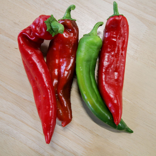 Green Numex Joe Parker pepper from MIgardener, showing its elongated shape and vibrant color on the plant.