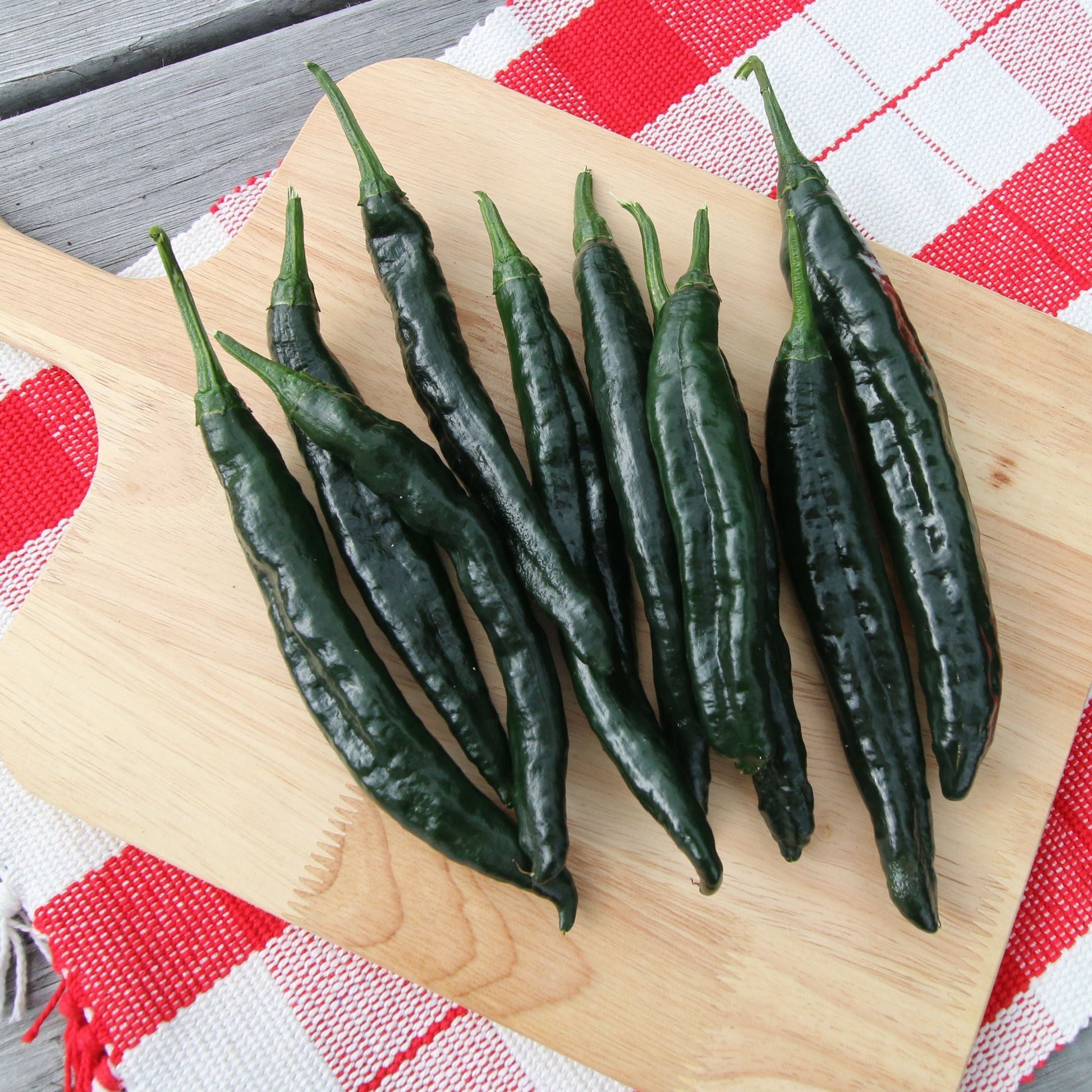 Fresh Pasilla Bajio pepper from MIgardener, dark green and elongated with a smooth surface, ready for culinary use.