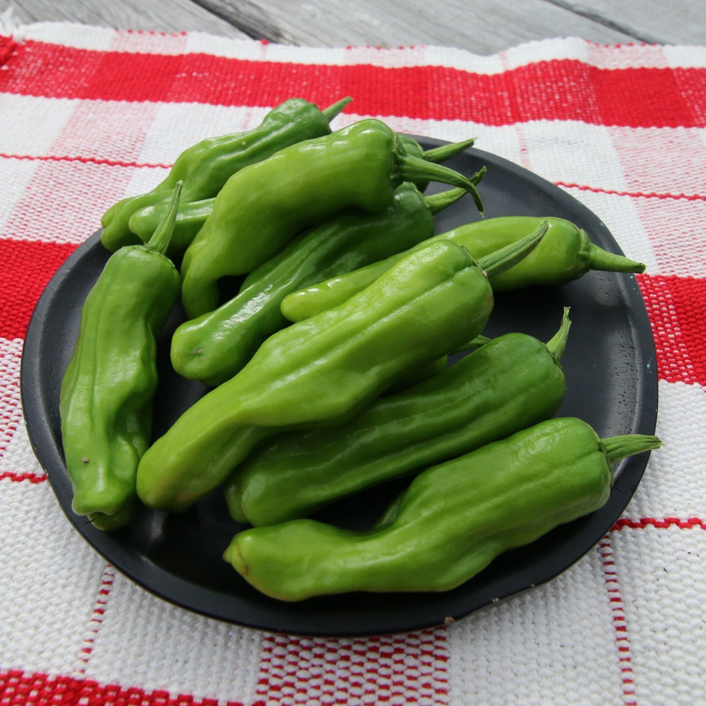 Fresh MIgardener pepperoncini pepper showing green, elongated chili pepper with a smooth surface and slight curve.
