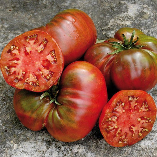 Black Sea Man tomato from MIgardener, showcasing ripe, dark purple-black tomatoes with smooth skin and vibrant coloration.