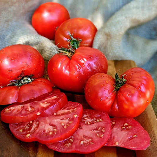 Giant Crimson Tomato by MIgardener, large ripe red tomato on the vine with green leaves, fresh and vibrant.
