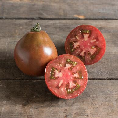 Japanese Black Trifele Tomato from MIgardener, showcasing dark purple-black heirloom tomato with a unique elongated shape.