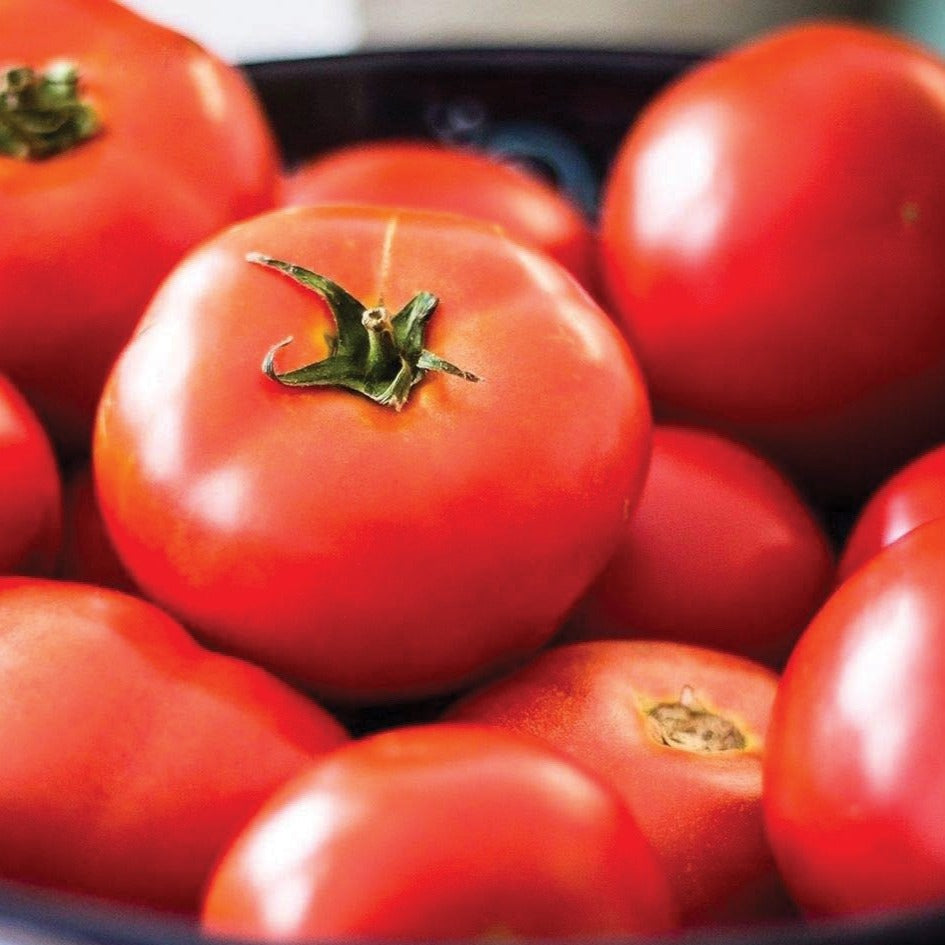 Fresh New Yorker Tomato by MIgardener showing vibrant red, round shape, and lush green stem on a white background.