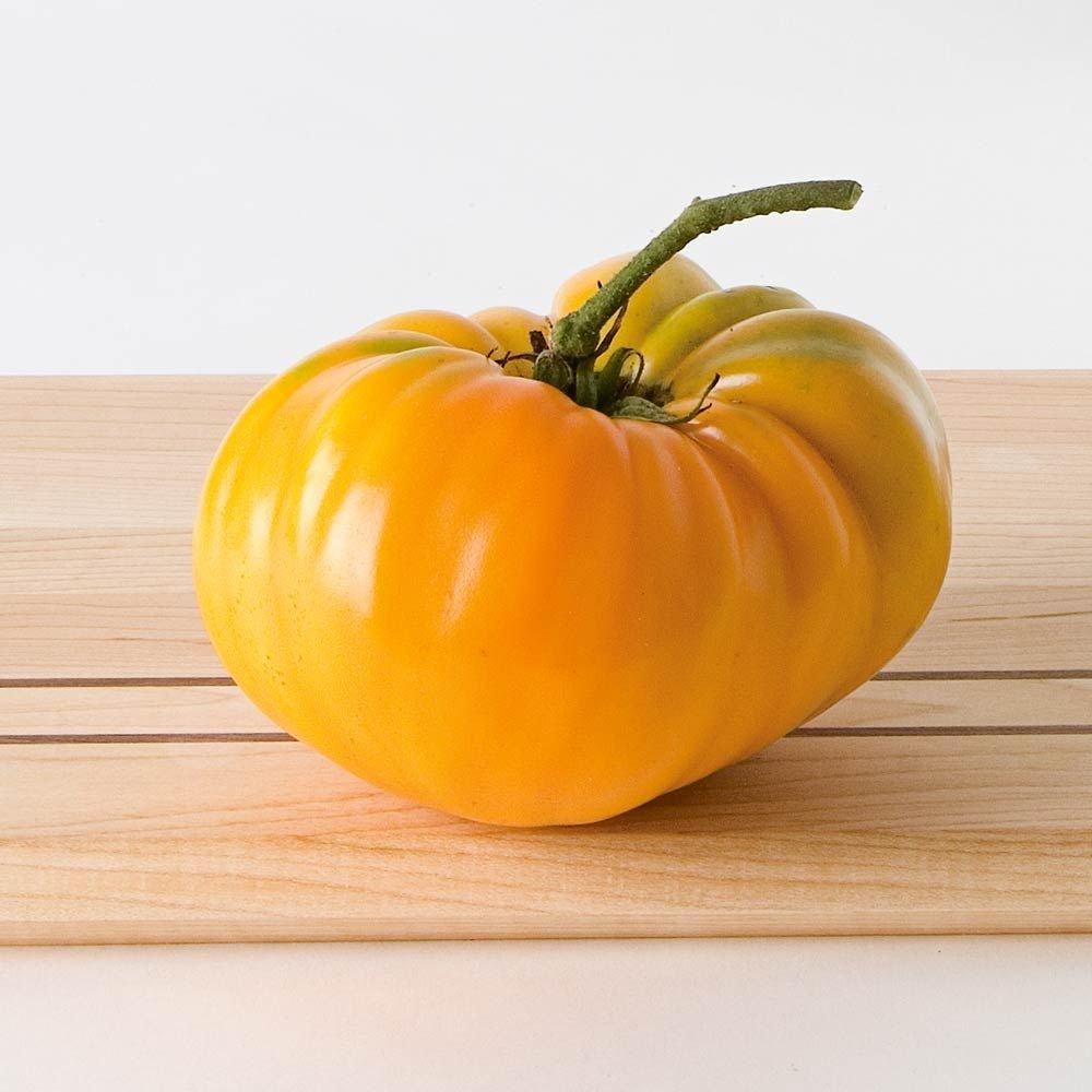 Orange Oxheart Tomato by MIgardener, ripe and vibrant with heart-shaped, juicy orange tomatoes on the vine.