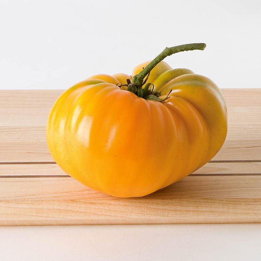 Orange Oxheart Tomato by MIgardener, ripe and vibrant with heart-shaped, juicy orange tomatoes on the vine.