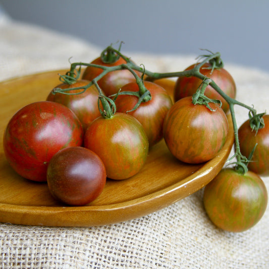 Purple Bumble Bee Tomato from MIgardener, a vibrant heirloom tomato with purple and yellow striped skin and round shape.