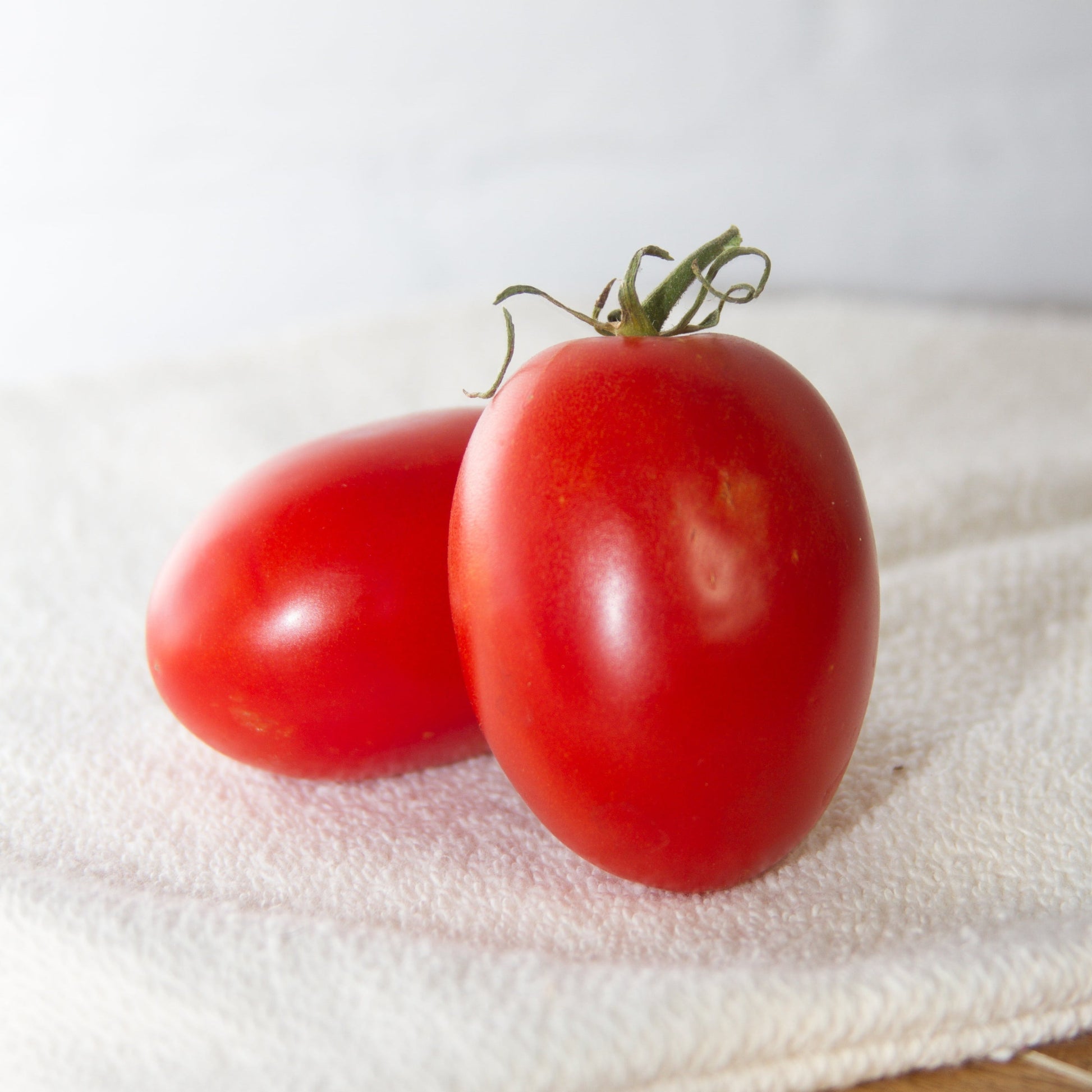 Healthy Quadro Tomato from MIgardener, showing vibrant red tomato with green stem on a white background.