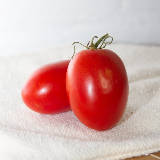 Healthy Quadro Tomato from MIgardener, showing vibrant red tomato with green stem on a white background.