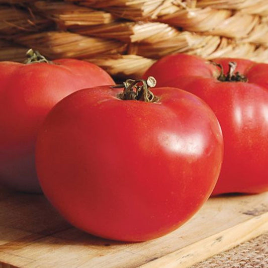 Fresh Rose De Berne tomato from MIgardener, showcasing its vibrant red color and round shape on the vine.