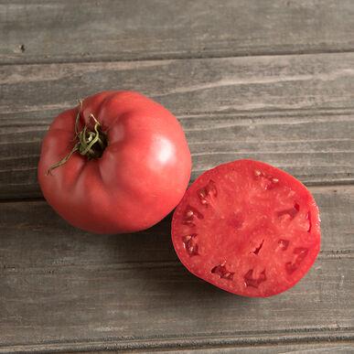 Pink rose tomato from MIgardener with vibrant, ripe fruit showcasing smooth skin and lush green foliage in the garden.