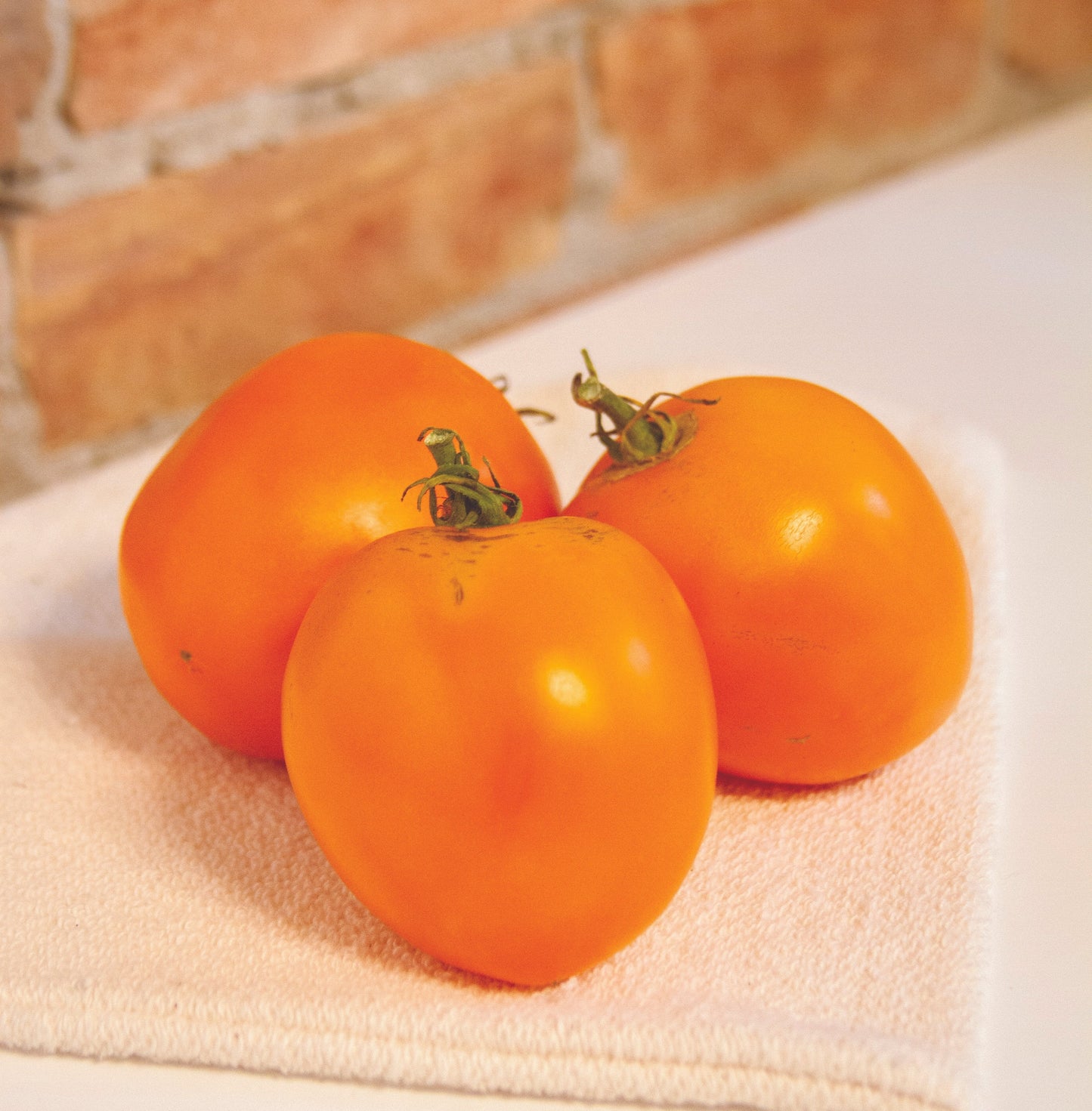 Ripening Valencia Tomato from MIgardener, a vibrant red heirloom tomato on the vine ready for harvest.