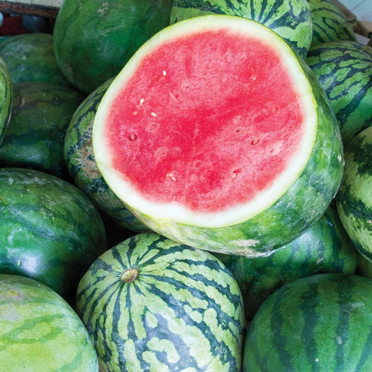 Ripe Dixie Queen watermelon with green rind and pink flesh, grown by MIgardener, shown on a white background.