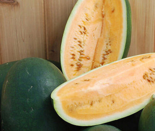 Sweet Siberian Watermelon from MIgardener, ripe and juicy watermelon with striped green rind and vibrant red flesh.