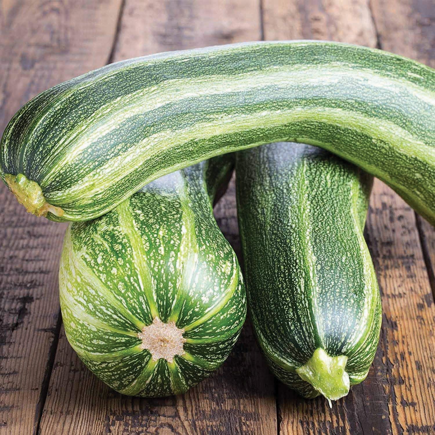 Italian striped zucchini from MIgardener, featuring vibrant green and white striped skin and fresh zucchini shape.