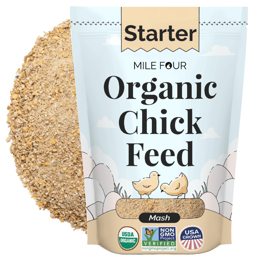 Mile Four Starter Organic Chicken Feed mash in a 2-pound bag, designed for healthy growing chickens.