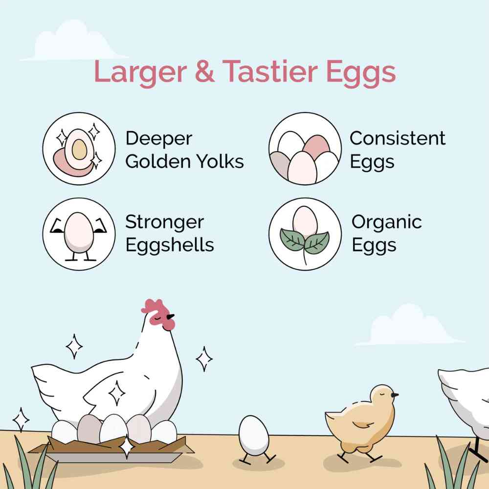 Mile Four Starter Organic Chicken Feed in 2 lbs bag, chicken feed mash for young poultry, natural and organic nutrition