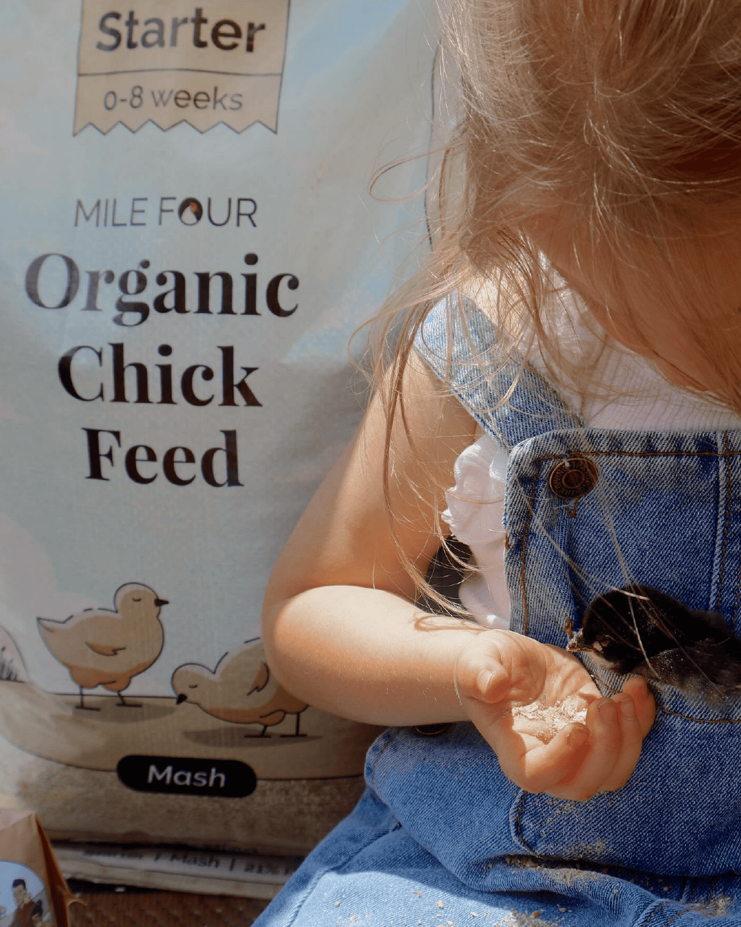 Mile Four Starter Organic Chicken Feed mash in 2 lbs bag, natural feed for healthy organic chickens