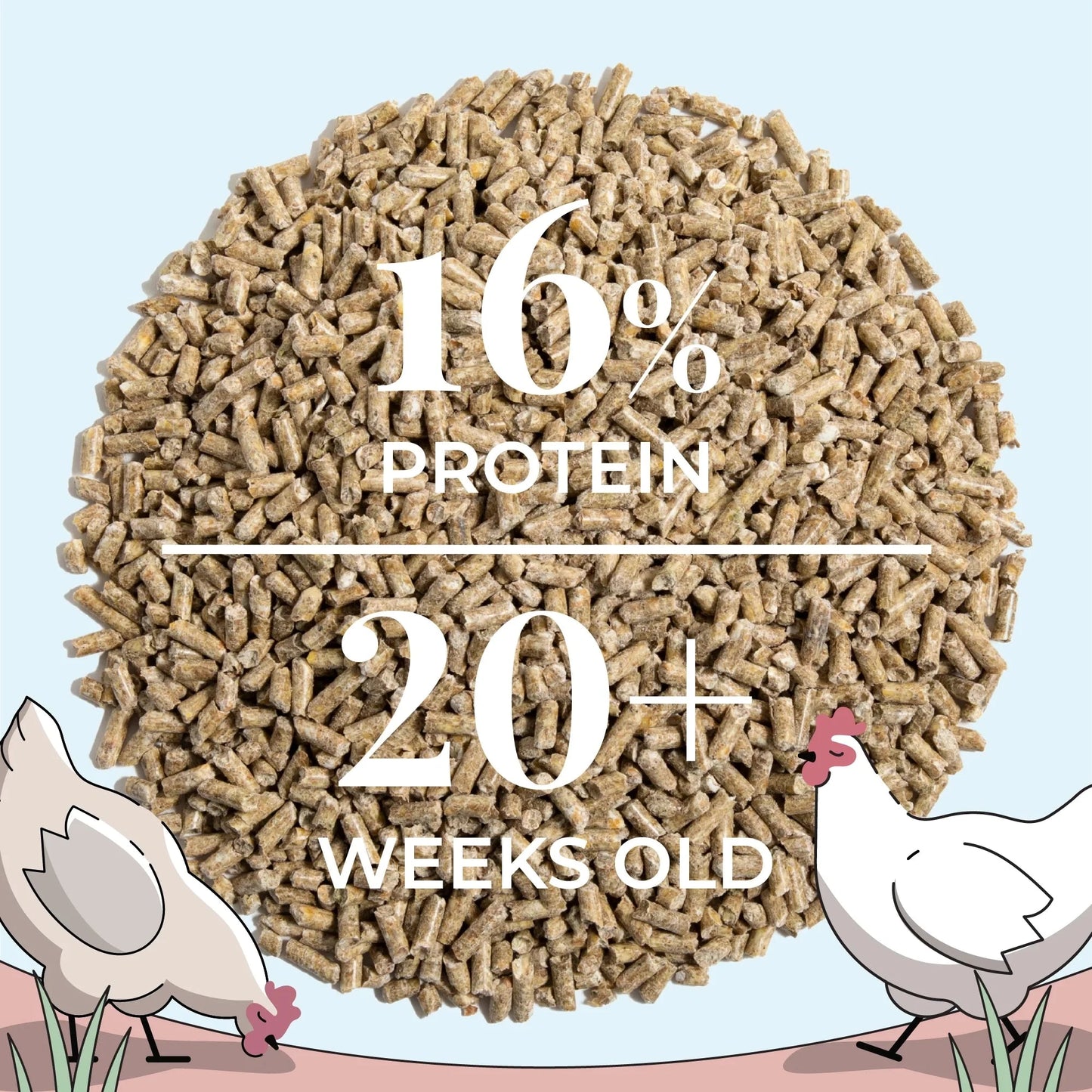 Big Flock Bundle by Mile Four with organic chicken feed, grit, and oyster shell for 20 layer hens, shown in a feed bag.