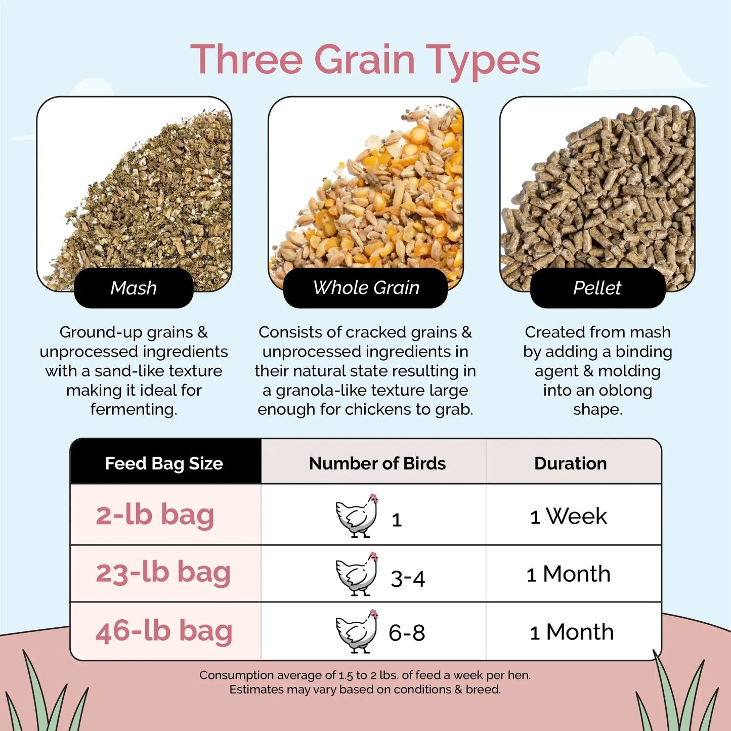 Big Flock Bundle chicken feed by Mile Four with organic feed, grit, and oyster shell for 20 layer hens in a natural feed mix