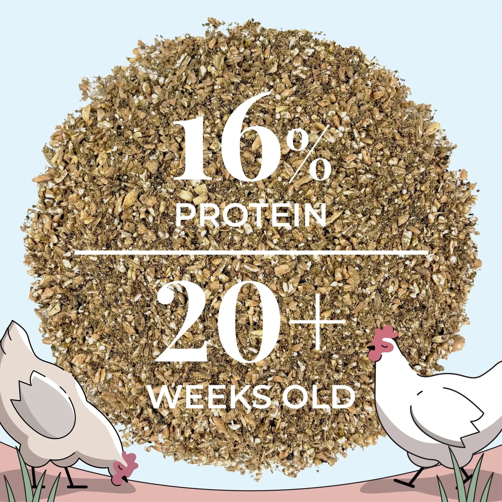 Big Flock Bundle by Mile Four featuring organic chicken feed, grit, and oyster shell for 20 laying hens in a feed bag.