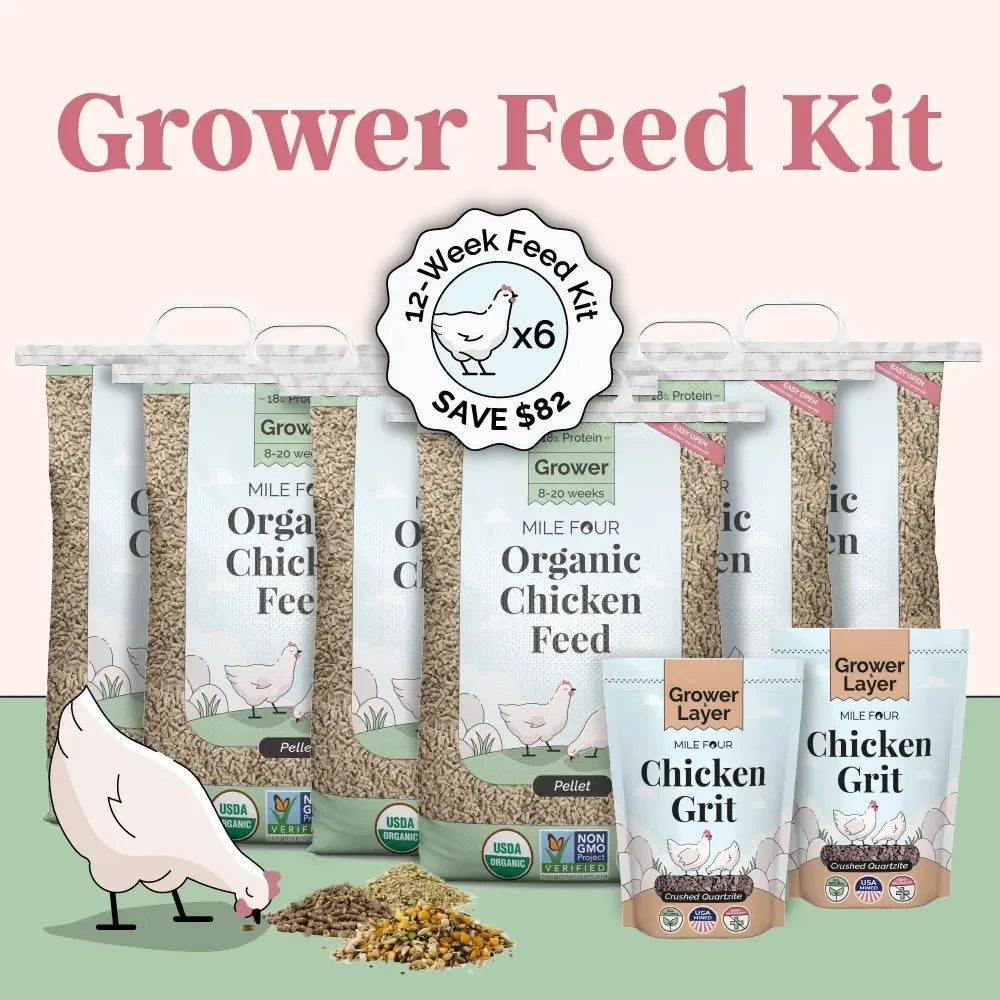 Mile Four Grower Feed Kit with organic chicken mash and grit for 6 pullets, suitable for 12 weeks of feeding.