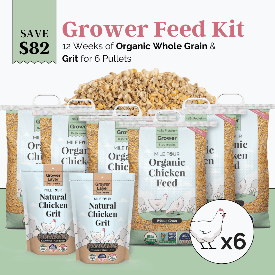Mile Four Grower Feed Kit with organic chicken mash and grit for 6 pullets, 12-week supply of chicken feed and supplements.