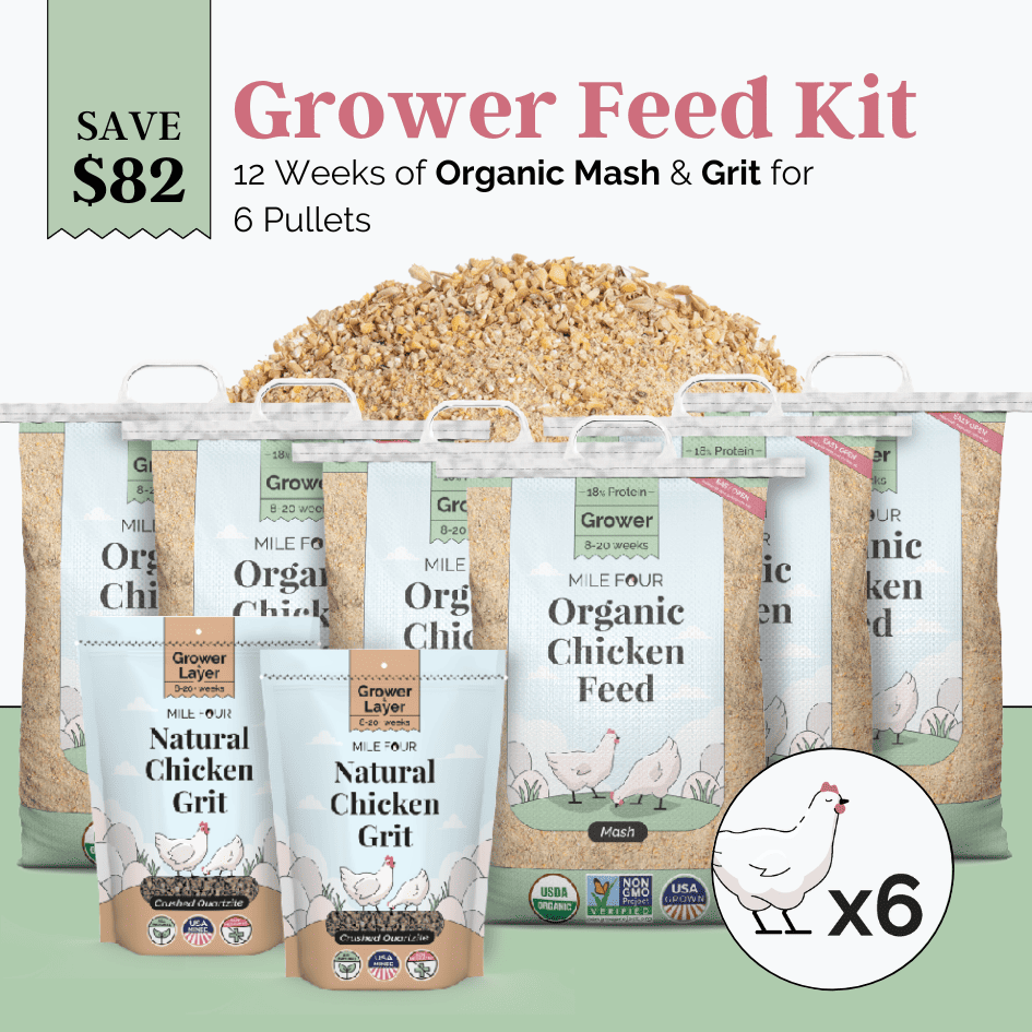 Mile Four Grower Feed Kit with organic chicken feed and grit for 6 pullets, ideal for 12 weeks of poultry nutrition.