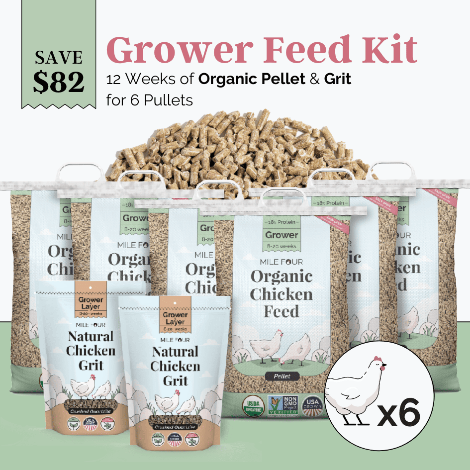 Mile Four Grower Feed Kit with organic chicken mash and grit for 6 pullets, designed for 12 weeks of healthy poultry growth.