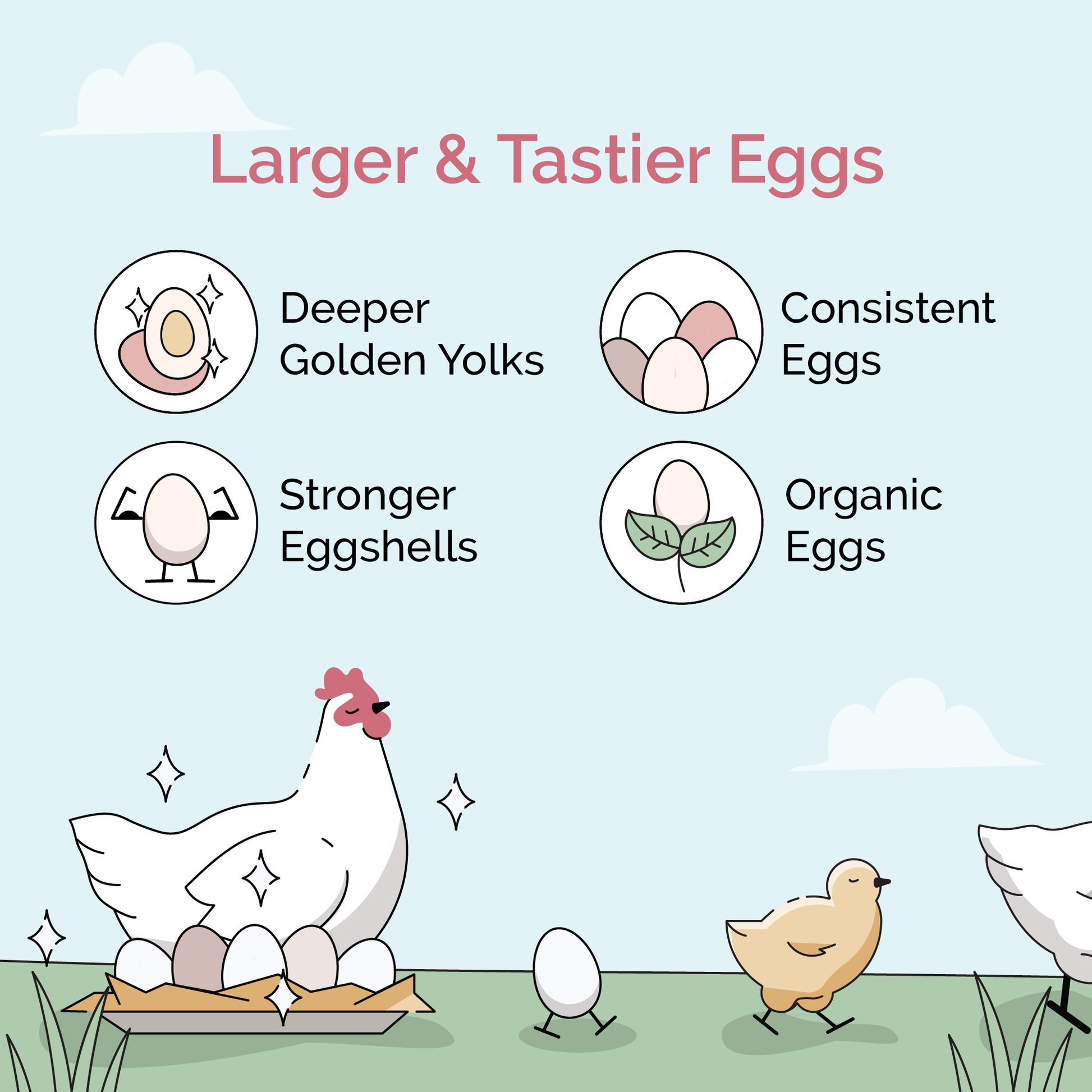 Mile Four Grower Feed Kit with organic chicken feed and grit for 6 pullets, 12 weeks of nourishing poultry nutrition.