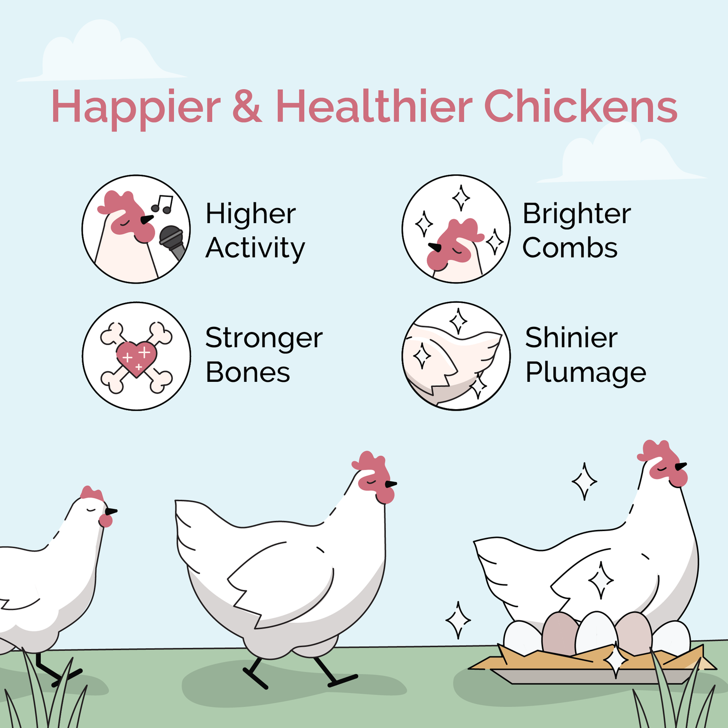 Mile Four Grower Feed Kit with organic chicken mash and grit for 6 pullets, designed for 12 weeks of nourishing poultry diet.