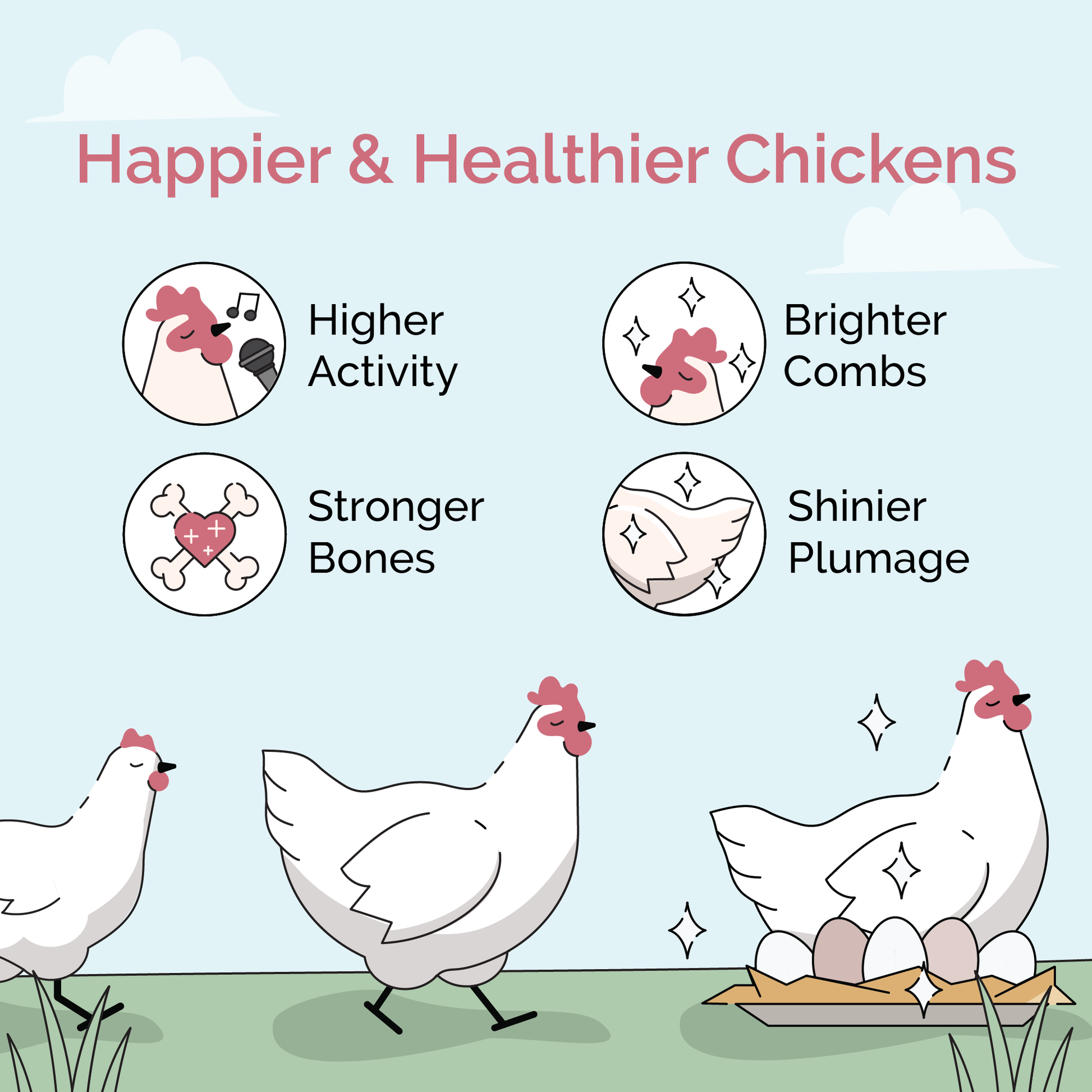 Mile Four Grower Feed Kit with organic chicken mash and grit for 6 pullets, designed for 12 weeks of nourishing poultry diet.