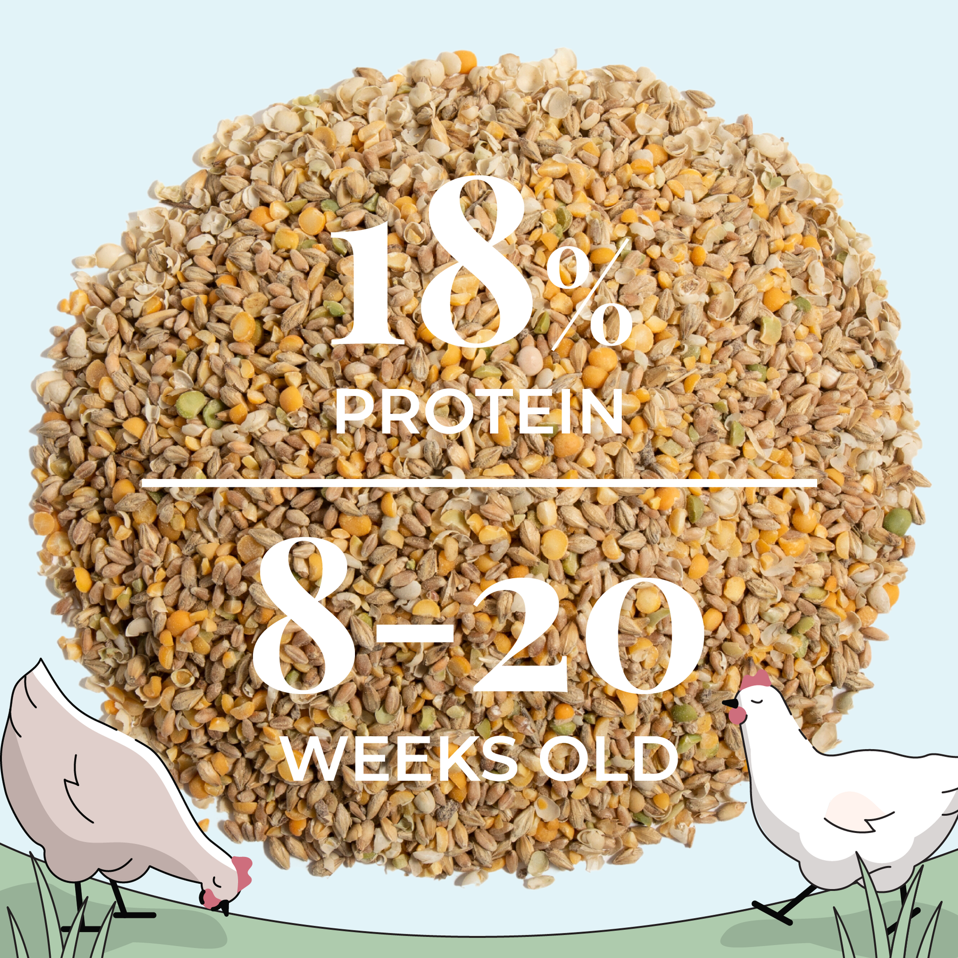 Mile Four Grower Feed Kit with organic chicken feed and grit for 6 pullets, designed for 12 weeks of nutritious poultry nutrition.