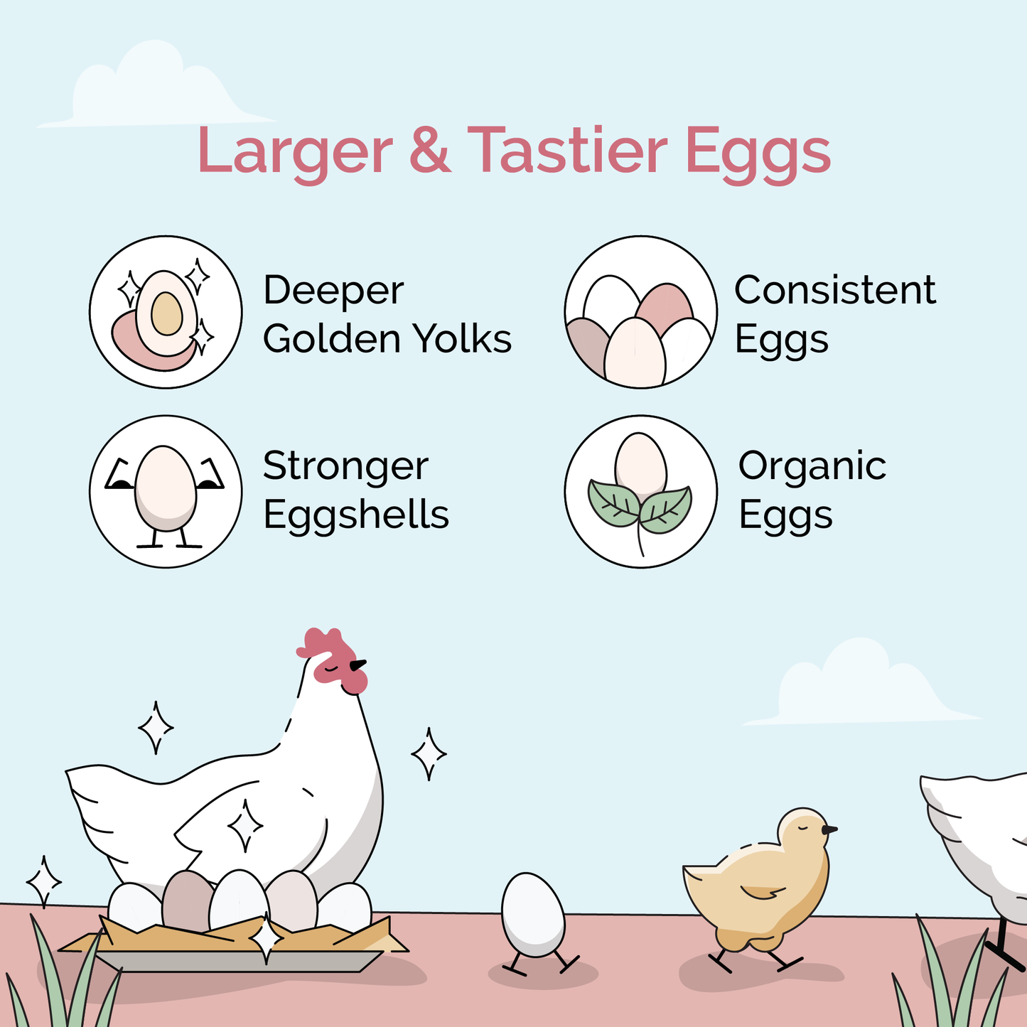 Mile Four chicken feed kit with organic mash, grit, and oyster shell for 6 laying hens, ideal for one month of feed.