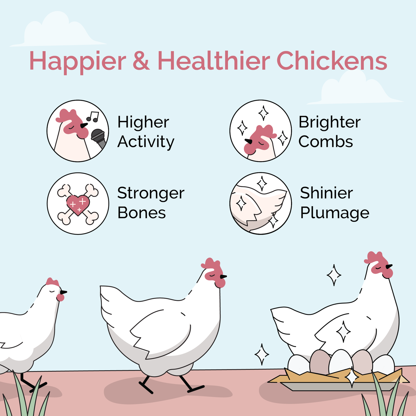 Mile Four chicken feed kit with organic mash, grit, and oyster shell for six laying hens, displayed in a farm setting.