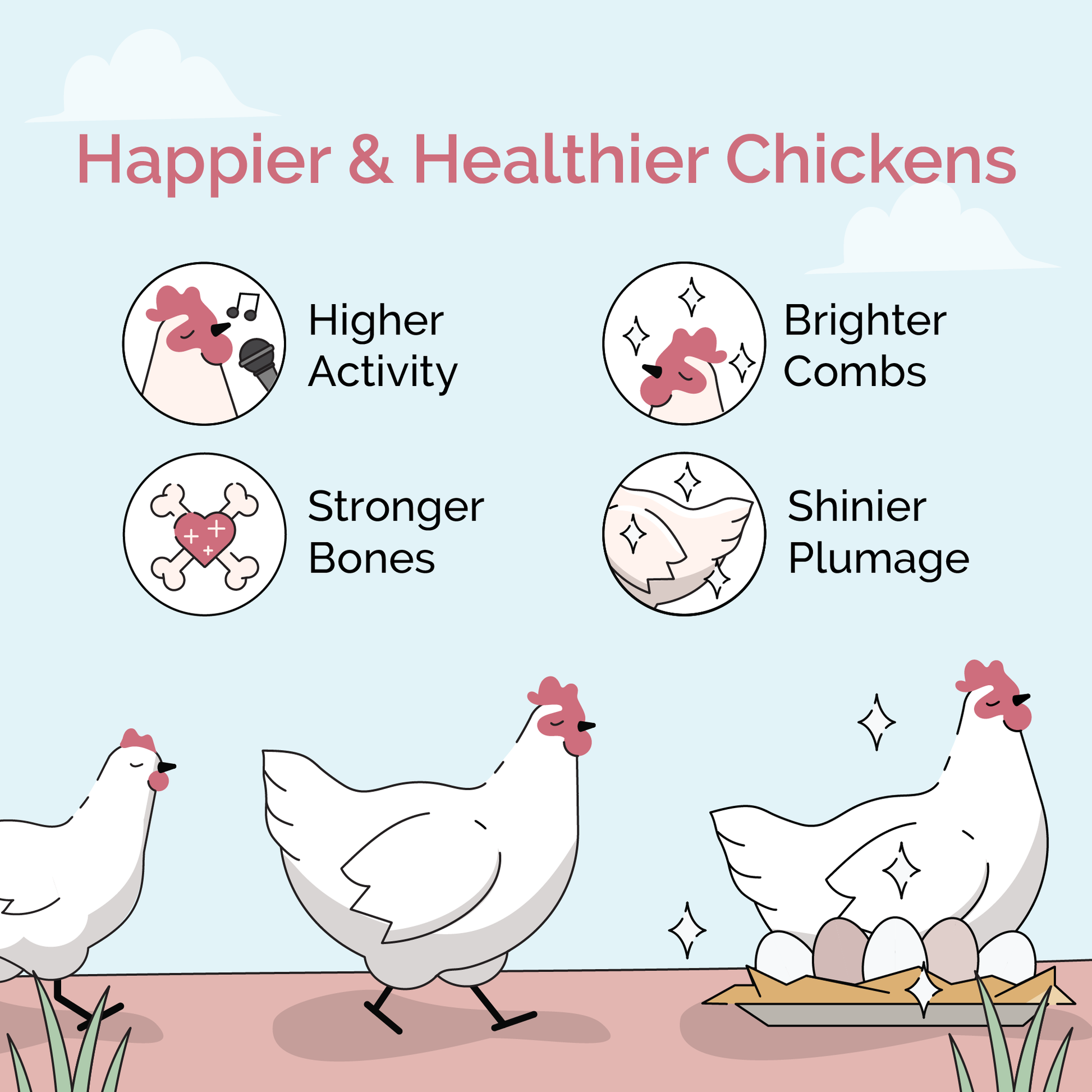 Mile Four chicken feed kit with organic mash, grit, and oyster shell for six laying hens, displayed in a farm setting.