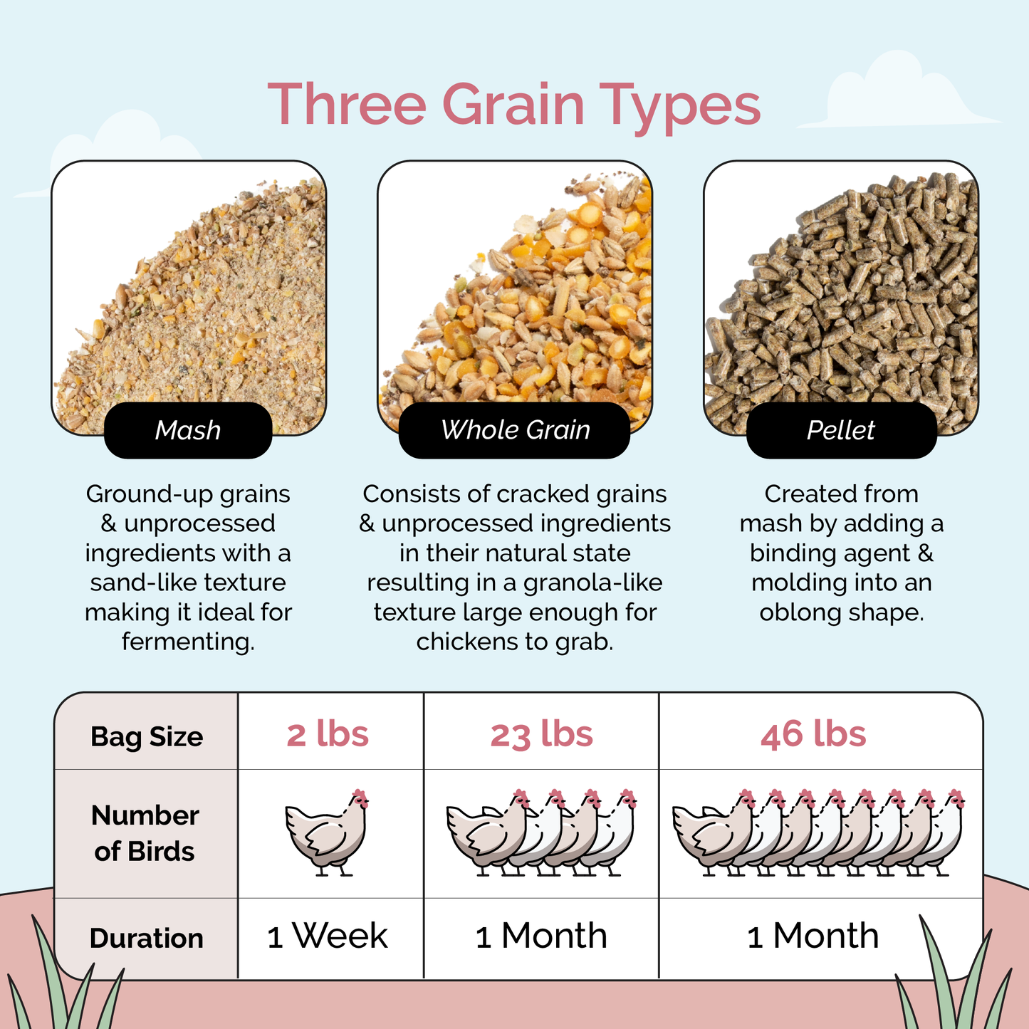Mile Four chicken feed kit with organic mash, grit, and oyster shell for 6 layers, includes 1 month supply of layer feed.