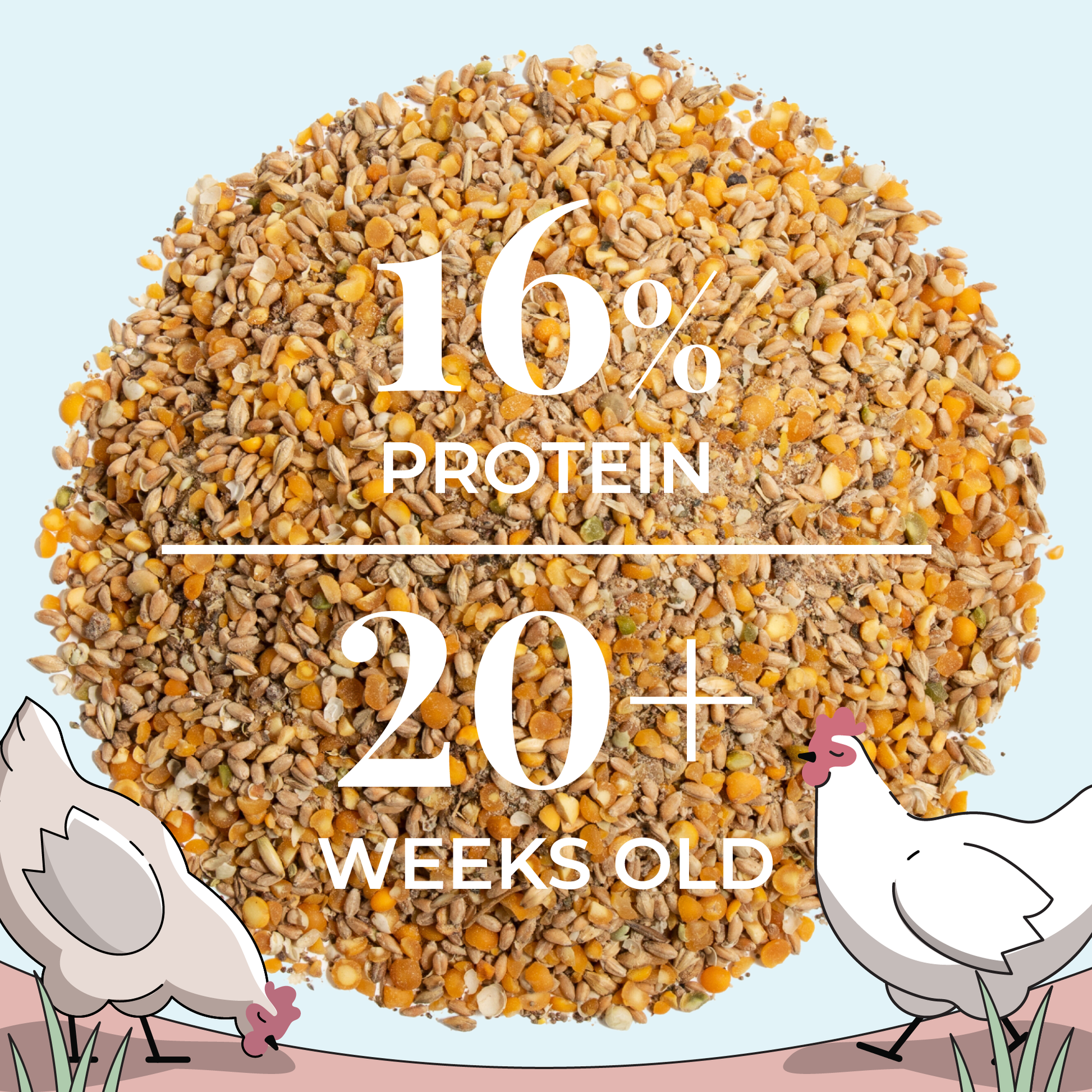Mile Four chicken feed kit with organic layer mash, grit, and oyster shell for six hens, includes one month supply.