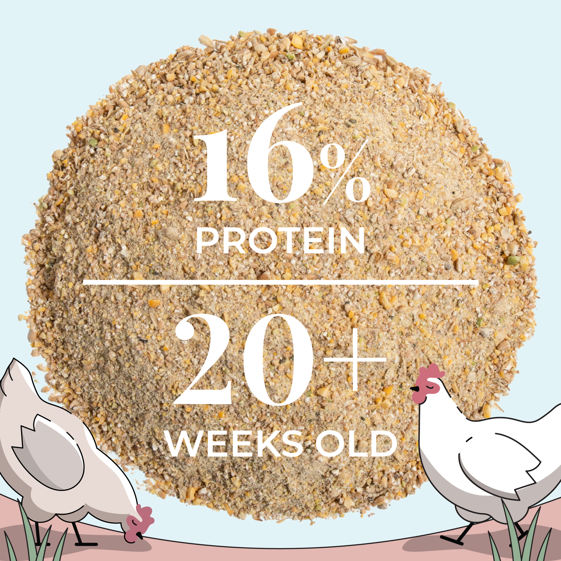Mile Four chicken feed kit with organic layer mash, grit, and oyster shell for six hens, ideal for one month of healthy poultry nutrition.