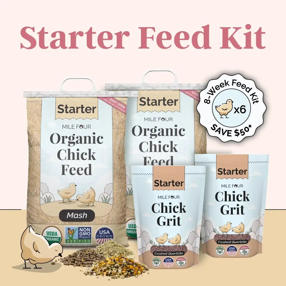 Mile Four chicken feed starter kit with organic mash and grit for 6 chicks, includes 8 weeks of nourishing poultry feed.