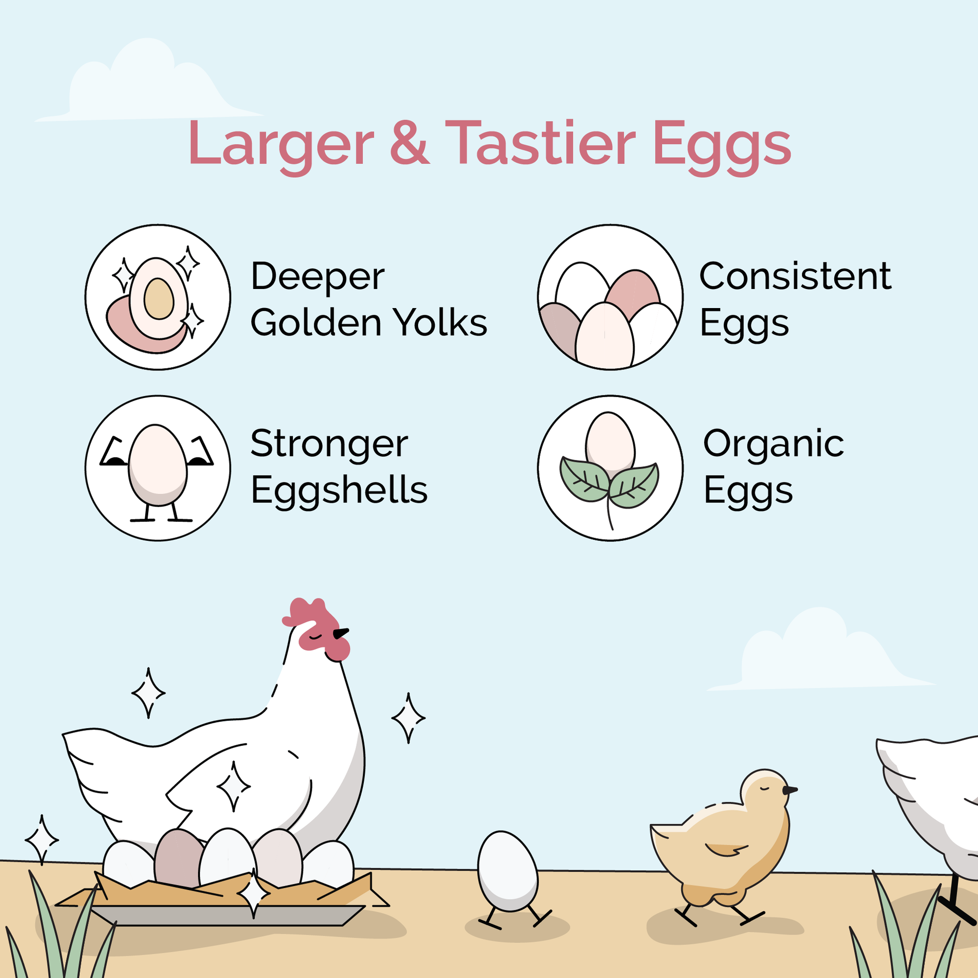 Mile Four chicken feed starter kit with organic feed and grit for 6 chicks, includes mash feed in a clear container.