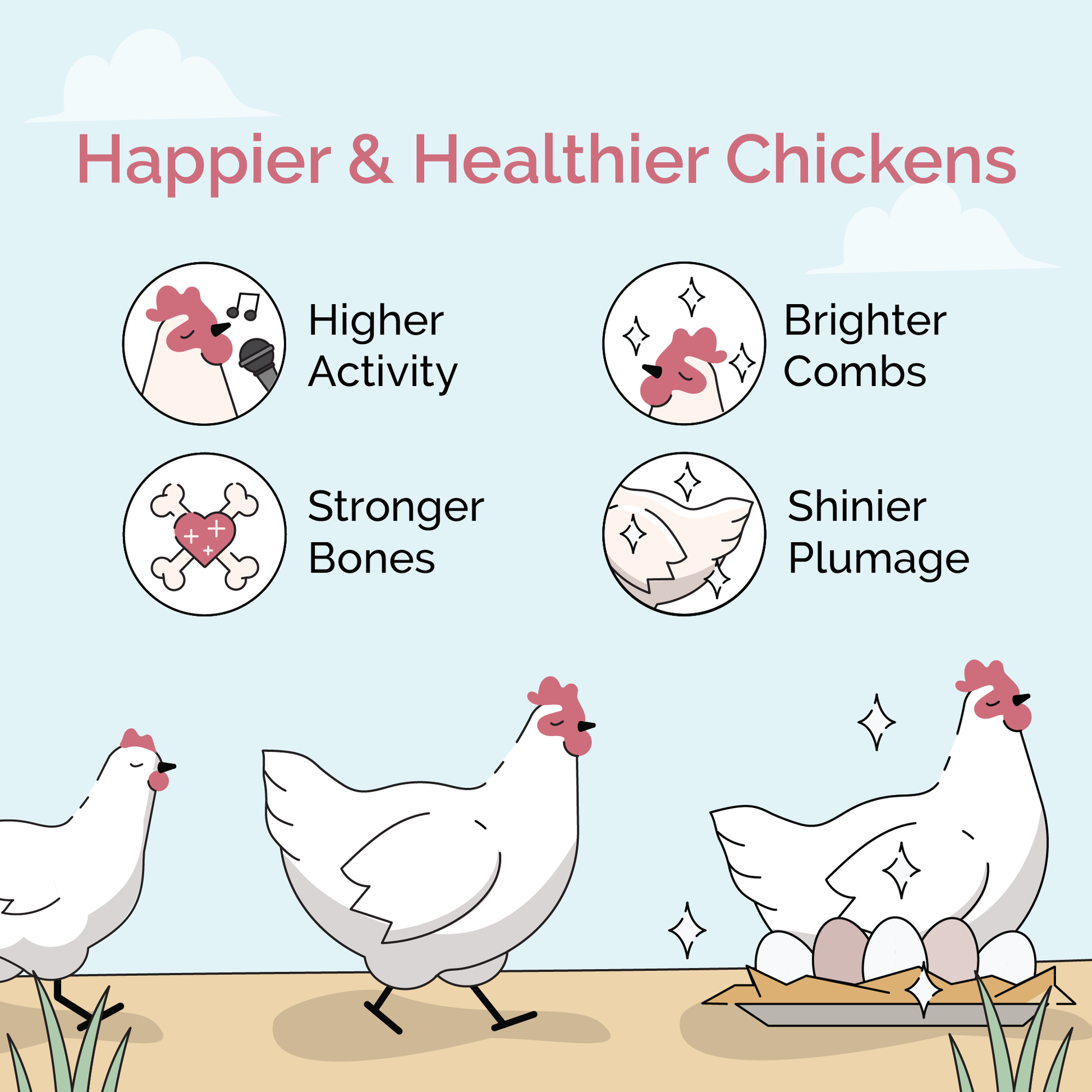 Mile Four chicken feed starter kit with organic mash and grit for 6 chicks, 8-week supply, in a clear feed container.