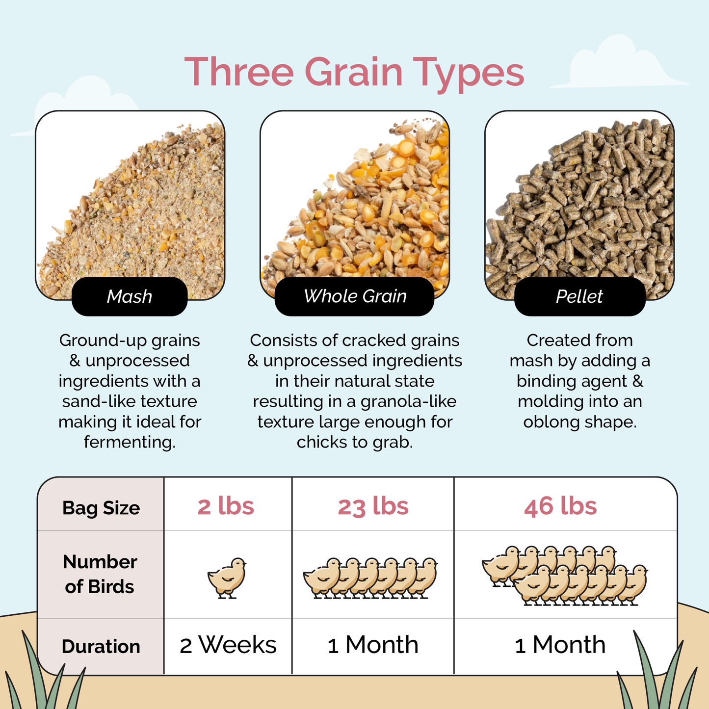 Mile Four chicken feed starter kit with organic mash and grit for 6 chicks, designed for 8 weeks of nourishing feed.