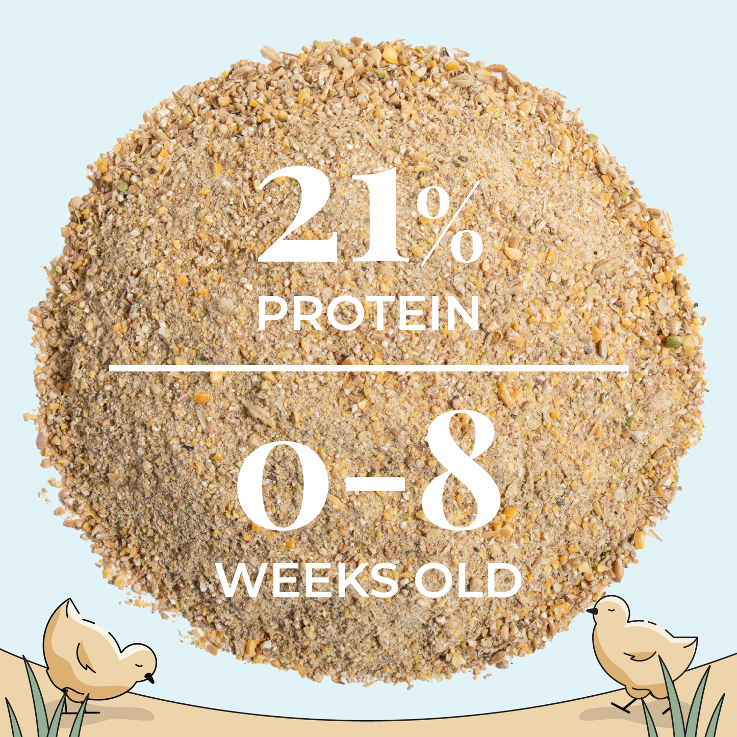 Mile Four chicken feed starter kit with organic mash and grit for 6 chicks, includes 8 weeks of nourishing feed and chick care supplies.