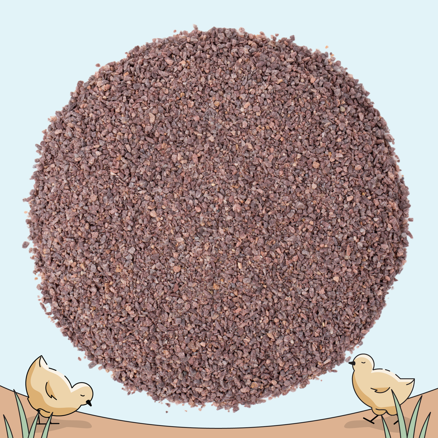 Mile Four chicken feed starter kit with organic mash and grit for 6 chicks, 8-week supply, shown in a clear container.