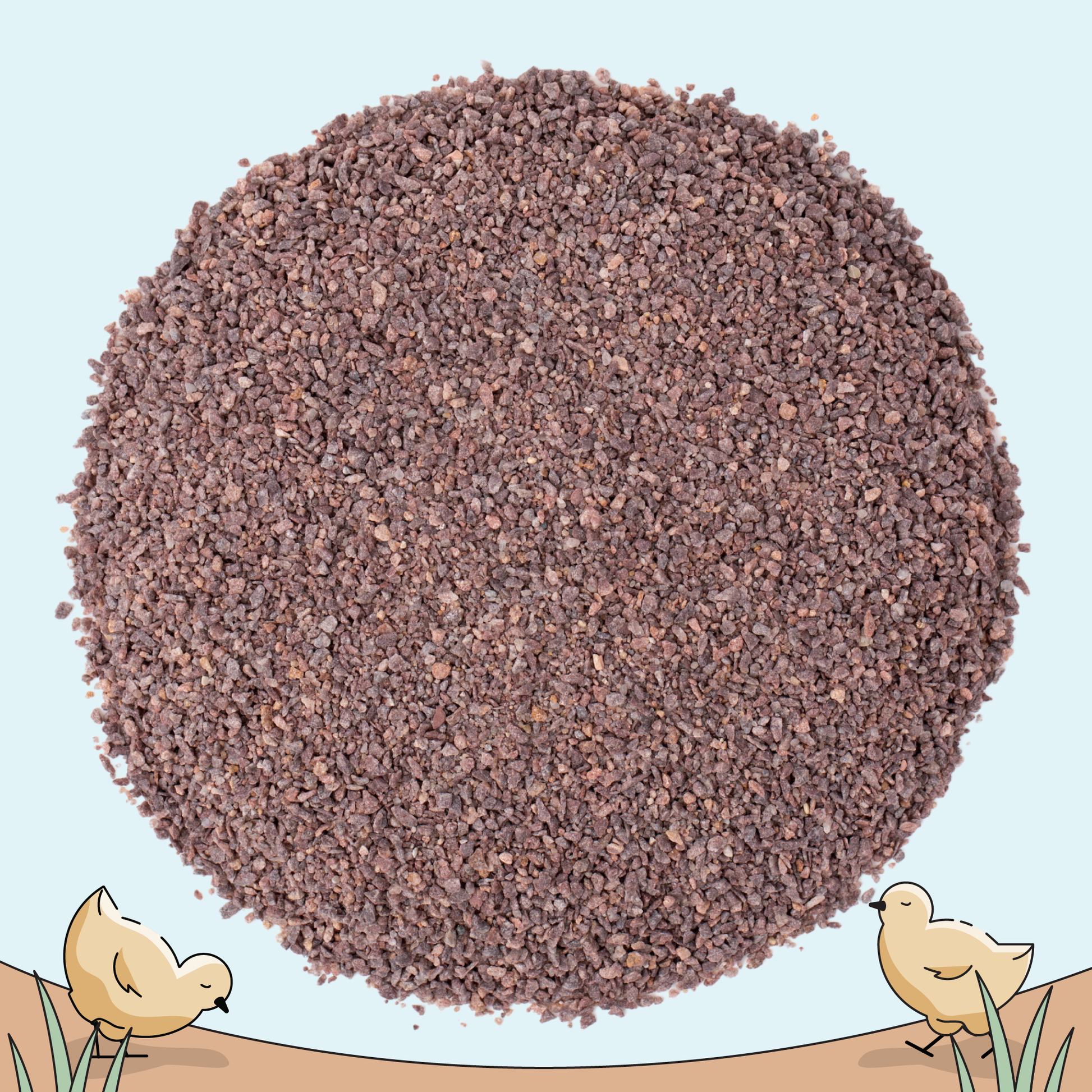 Mile Four chicken feed starter kit with organic mash and grit for 6 chicks, 8-week supply, shown in a clear container.