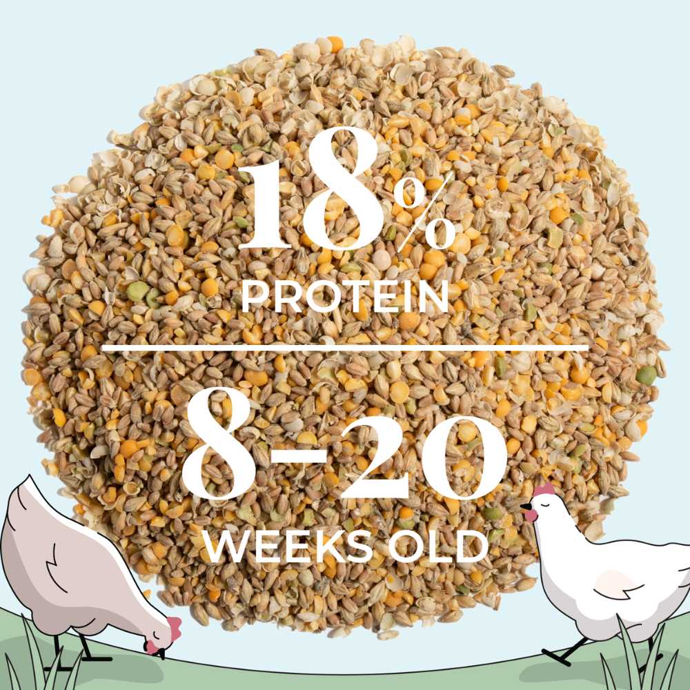 Organic chicken feed pellets from Mile Four, designed for growing hens, shown in a 2-pound bag.