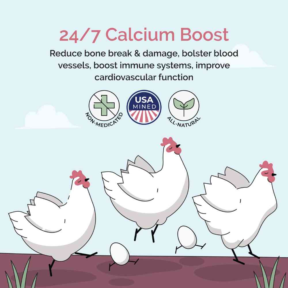 Mile Four Oyster Shell treat for birds, 4 lbs, natural supplement with crushed oyster shells for healthy calcium intake.