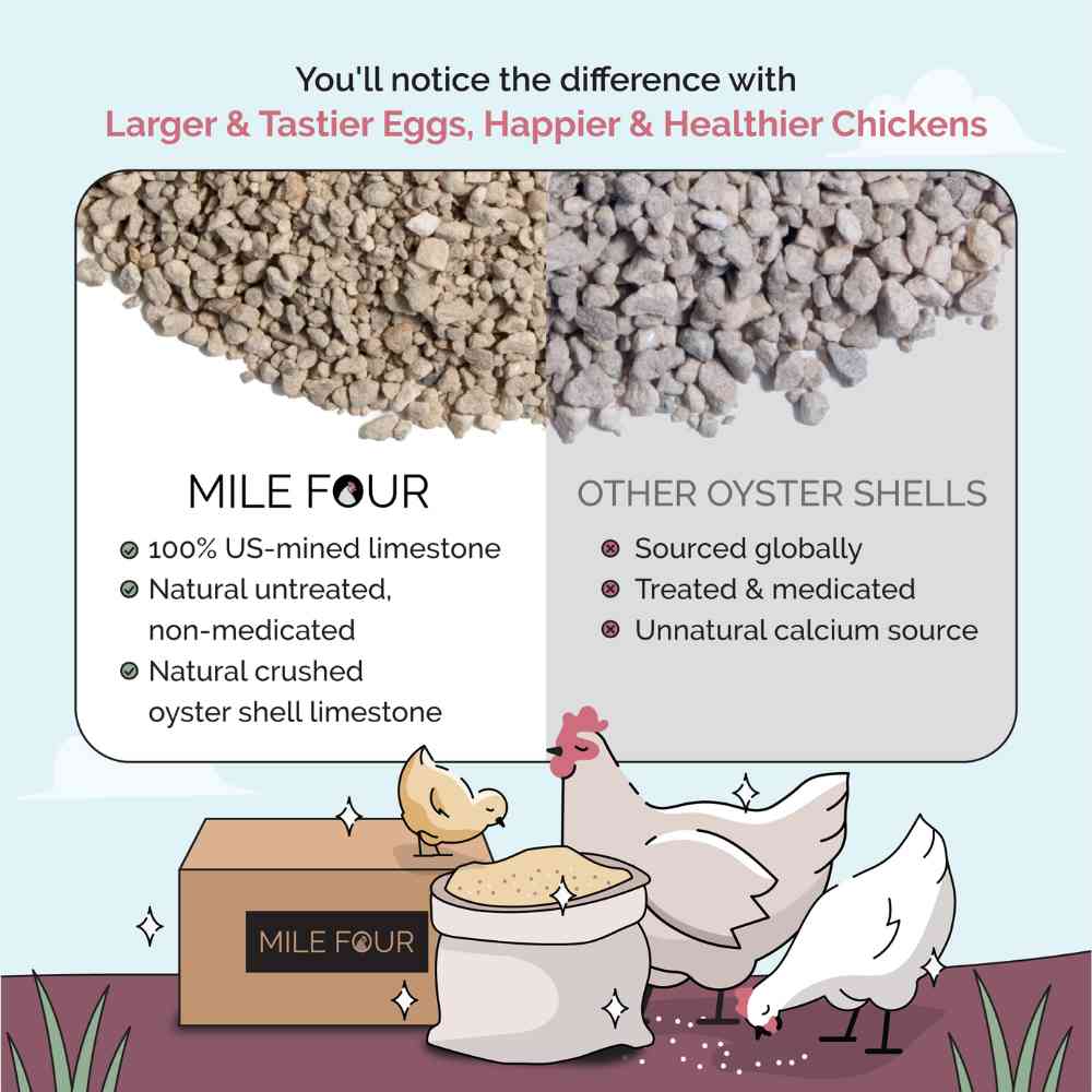 Mile Four oyster shell treat for birds and poultry, 4 lbs, natural supplement rich in calcium and minerals
